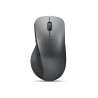 Lenovo Professional - Ratón - ergonómico - óptico azul - 6 botones - i