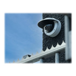 Axis M3216-LVE Fixed Dome Camera With Dlpu Forensic Wdr Li | APLIUM