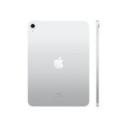 10.9-inch iPad Wi-Fi 256GB - Silver | APLIUM