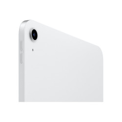 10.9-inch iPad Wi-Fi 256GB - Silver | APLIUM