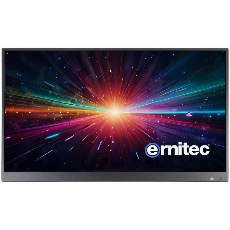 22" Surveillance monitor for