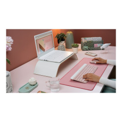 MK470 Slim Combo -ROSE-FRA-CENTRAL-419 | APLIUM