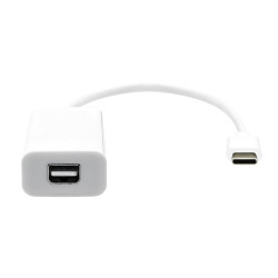 USB-C to Mini DP 20cm white