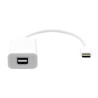 USB-C to Mini DP 20cm white