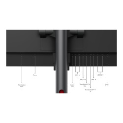 Lenovo ThinkVision P49w-30 - Monitor LED - curvado - 49" - 5120 x 1440