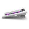 Alienware Tri-Mode AW920K - Teclado - RGB por tecla AlienFX/16,8 millo