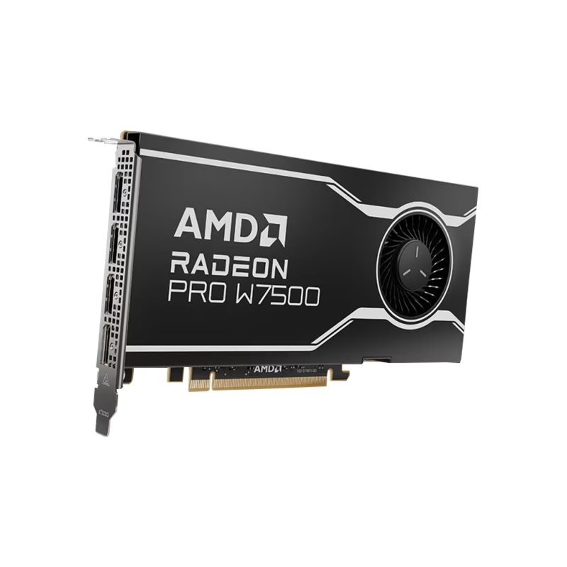 AMD Radeon Pro W7500 - Tarjeta gráfica - Radeon Pro W7500 - 8GB GDDR6