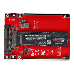 StarTech.com Adaptador M.2 a U.3 - Conversor de SSD M2 PCIe a U.3 de 2