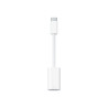 Apple - Adaptador Lightning - USB-C macho a Lightning hembra