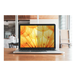 3M Bright Screen Privacy Filter - Filtro de privacidad para portátil (