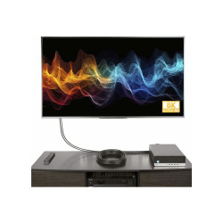 StarTech.com Cable de 15m DisplayPort Certificación VESA - Cable DP 1.