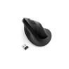 Kensington Mouse ProFitErgoWrlssVertical