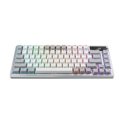 ASUS ROG Azoth 75 Wireless DIY Custom Gaming Keyboard, OLED | APLIUM