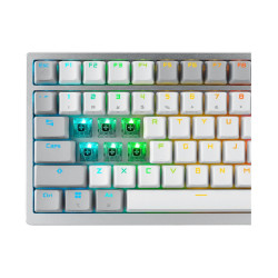 ASUS ROG Azoth 75 Wireless DIY Custom Gaming Keyboard, OLED | APLIUM