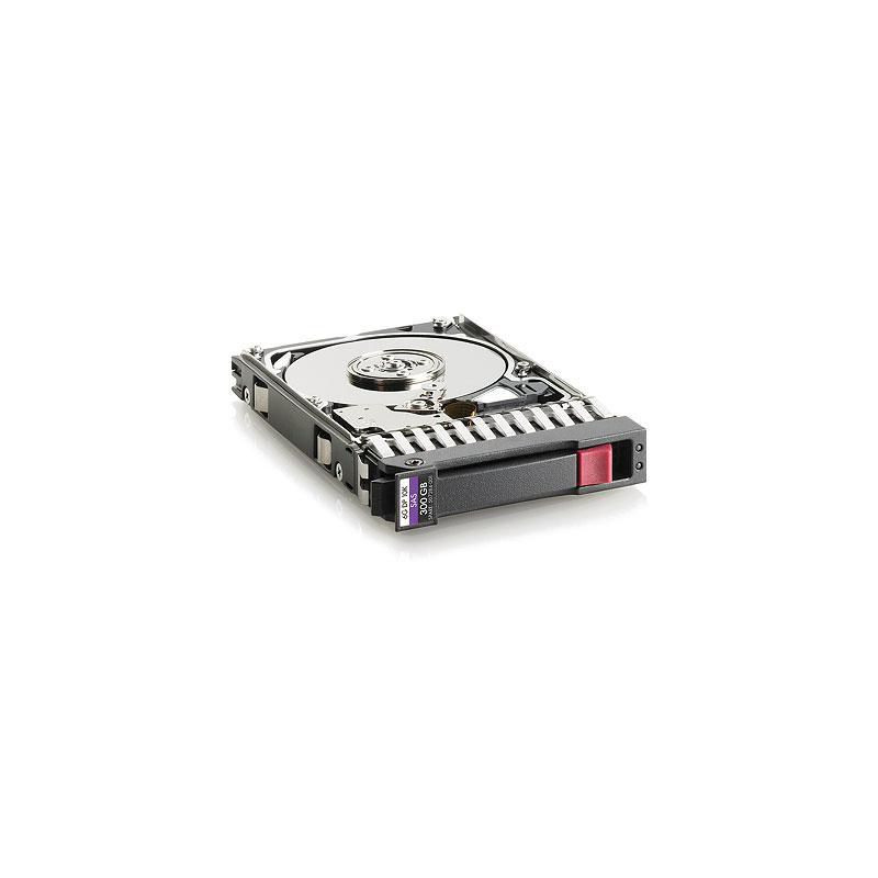 300 Gb SAS 10.000Rpm 2.5 Inch