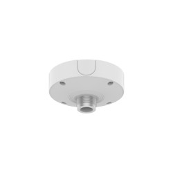Ceiling Mount, Aluminum,