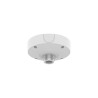 Ceiling Mount, Aluminum,