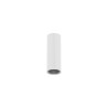 Ceiling Mount, Aluminum,