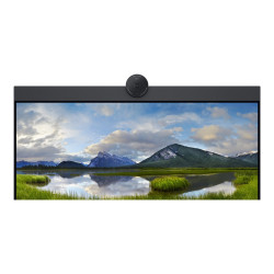 Dell 24 Video Conferencing Monitor P2424HEB - Monitor LED - 24" - 1920