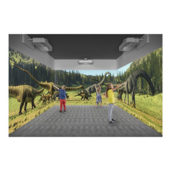 Promo EB-810E + ALR Screen 120" | APLIUM