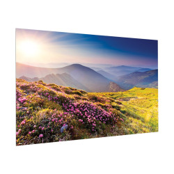 Projecta FullVision 219x350 Matte White | APLIUM