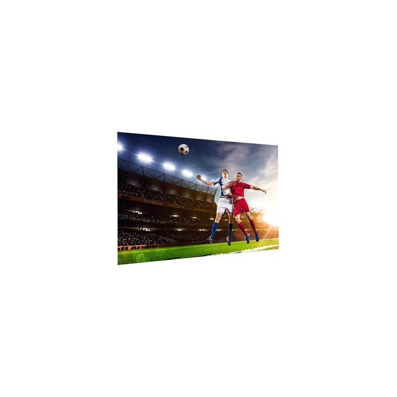 Projecta FullVision 146x260 Matte White | APLIUM