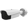 Cámara térmica dual Hikvision