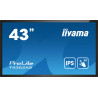 43" LCD All-In-One Interactive Display