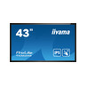 43" LCD All-In-One Interactive Display