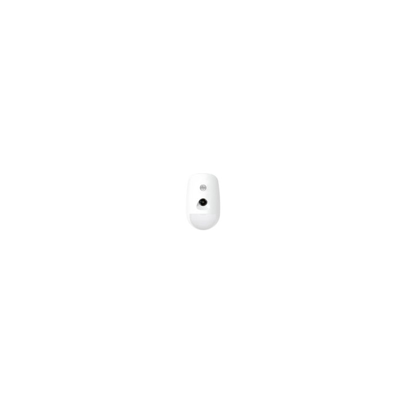 Wireless PIR-Camera Detector
