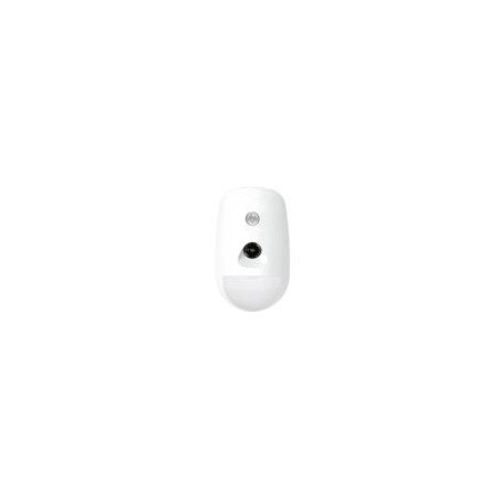 Wireless PIR-Camera Detector