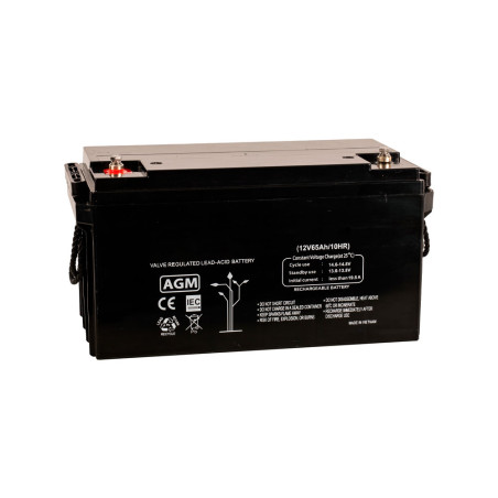 Batería AGM de 12V /65 Ah