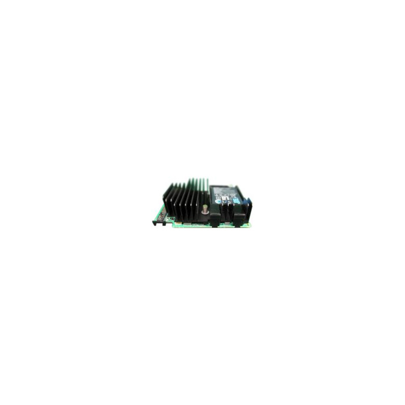 PERC H730P 2GB MINI MONO RAID