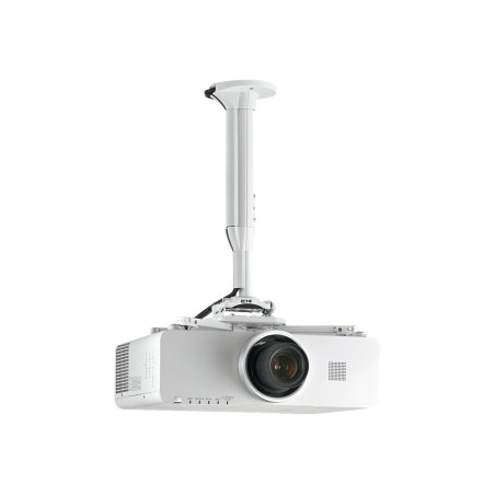 Chief KITEP045080W