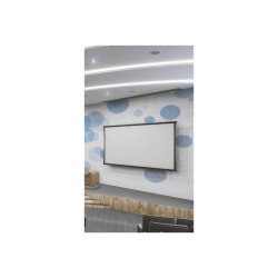 Projecta DescenderPro WS 174x310 Matte W | APLIUM