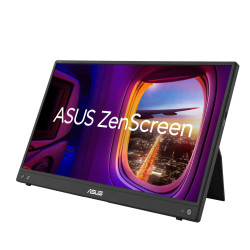 Computer Monitor 39.6 Cm