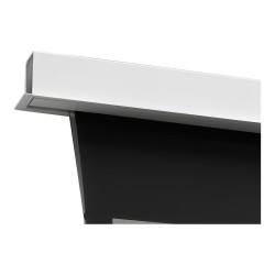 Projecta Tensioned DescenderPro SightLin | APLIUM