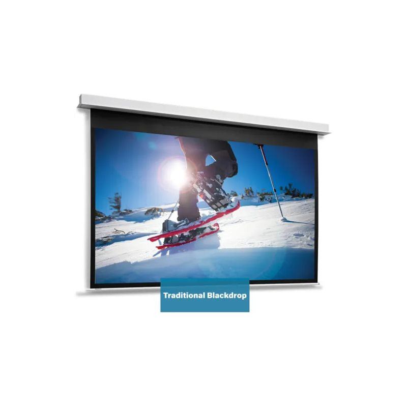 Projecta DescenderPro WS 231x370 Matte W | APLIUM