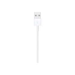 Apple - Cable Lightning - Lightning macho a USB macho - 1 m