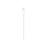 Apple - Cable Lightning - Lightning macho a USB macho - 1 m