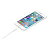 Apple - Cable Lightning - Lightning macho a USB macho - 1 m