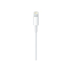 Apple USB-C to Lightning Cable - Cable Lightning - USB-C macho a Light