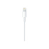 Apple USB-C to Lightning Cable - Cable Lightning - USB-C macho a Light
