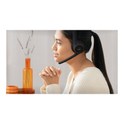 Zone 300 Headset Wireless | APLIUM