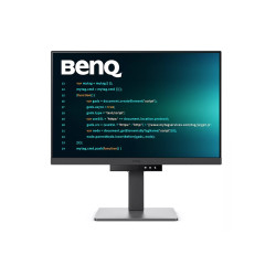 BenQ RD240Q - Monitor LED - 24.1" - 2560 x 1600 WQXGA @ 60 Hz - IPS -
