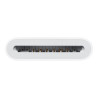 Apple USB-C to SD Card Reader - Lector de tarjetas (SD UHS-II) - USB-C