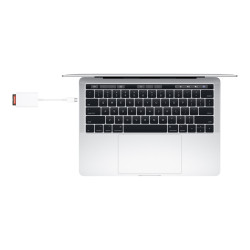 Apple USB-C to SD Card Reader - Lector de tarjetas (SD UHS-II) - USB-C