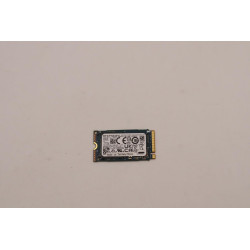 256GB M.2 2242 NVMe SSD