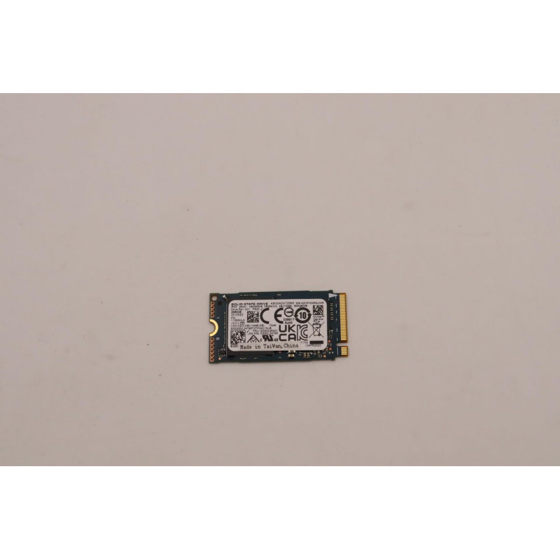 256GB M.2 2242 NVMe SSD