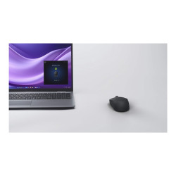 Dell Silent Mouse MS355 - Ratón - diestro y zurdo - LED óptico - 3 bot